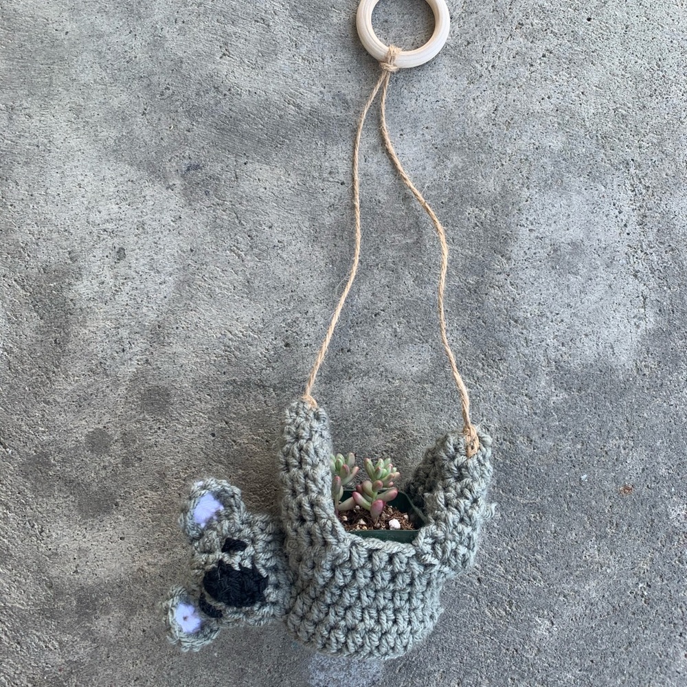 MINI Koala succulent plant hanger - Picture 4 of 5